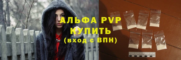 спайс Арсеньев