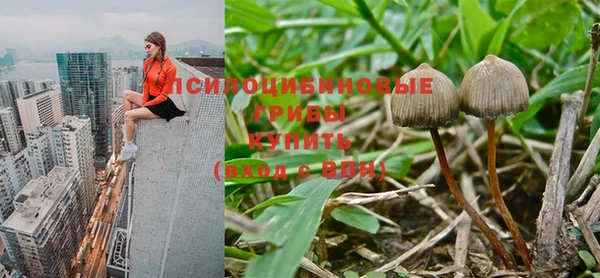 метамфетамин Елизово