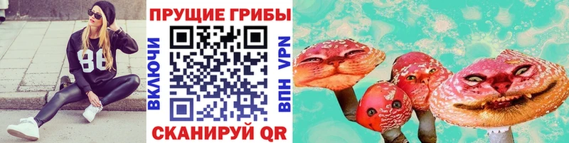 цены наркотик Всеволожск Псилоцибиновые грибы мицелий